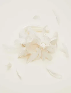 Bridal Feather Flower Chunky Headband
