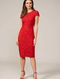 Cat Tapework Lace Fitted Dress