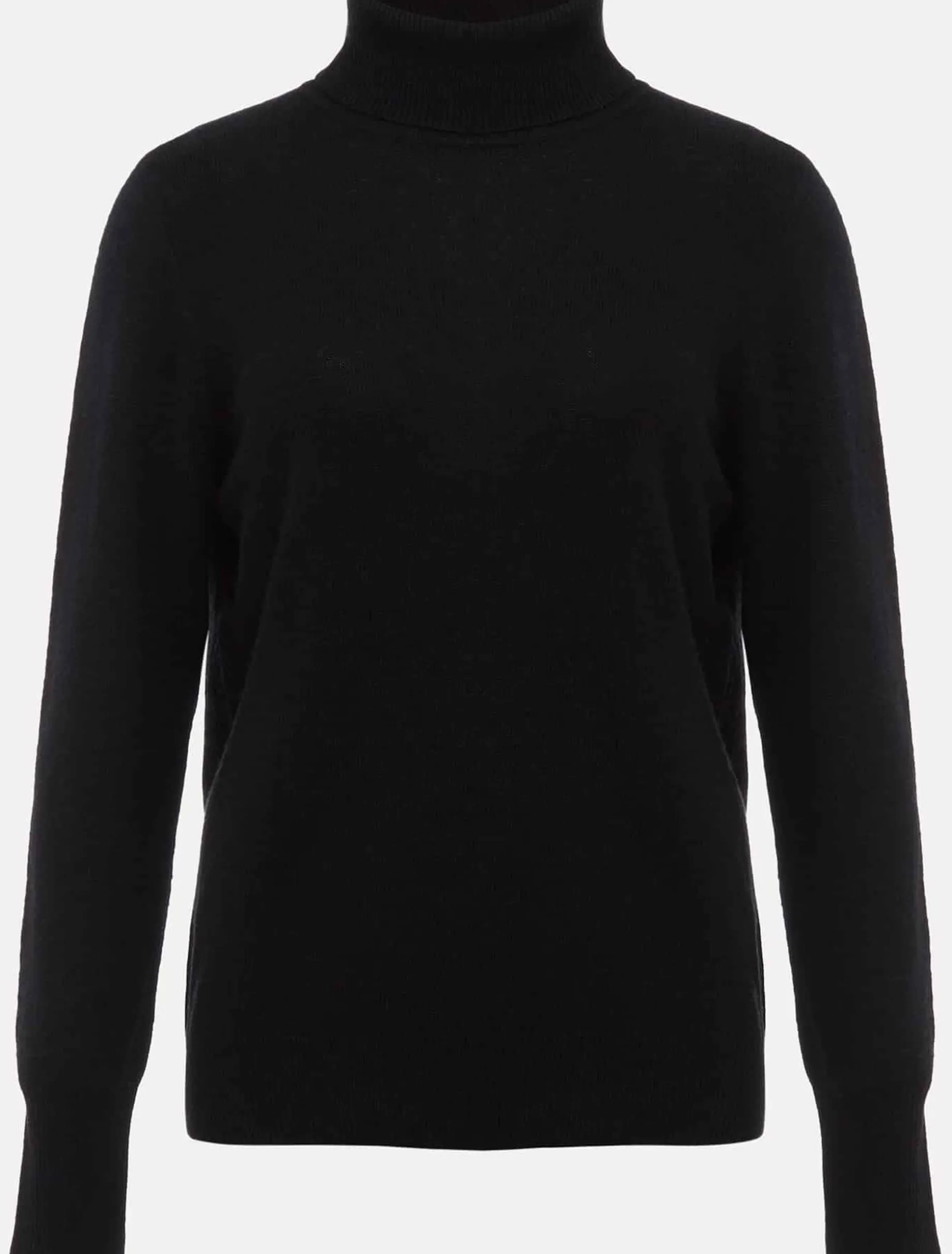 Cressida Wool Cashmere Roll Neck
