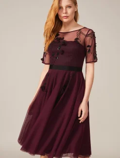 Felicia Embroidered Tulle Dress