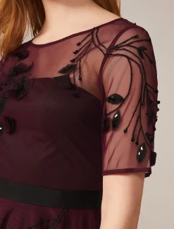 Felicia Embroidered Tulle Dress