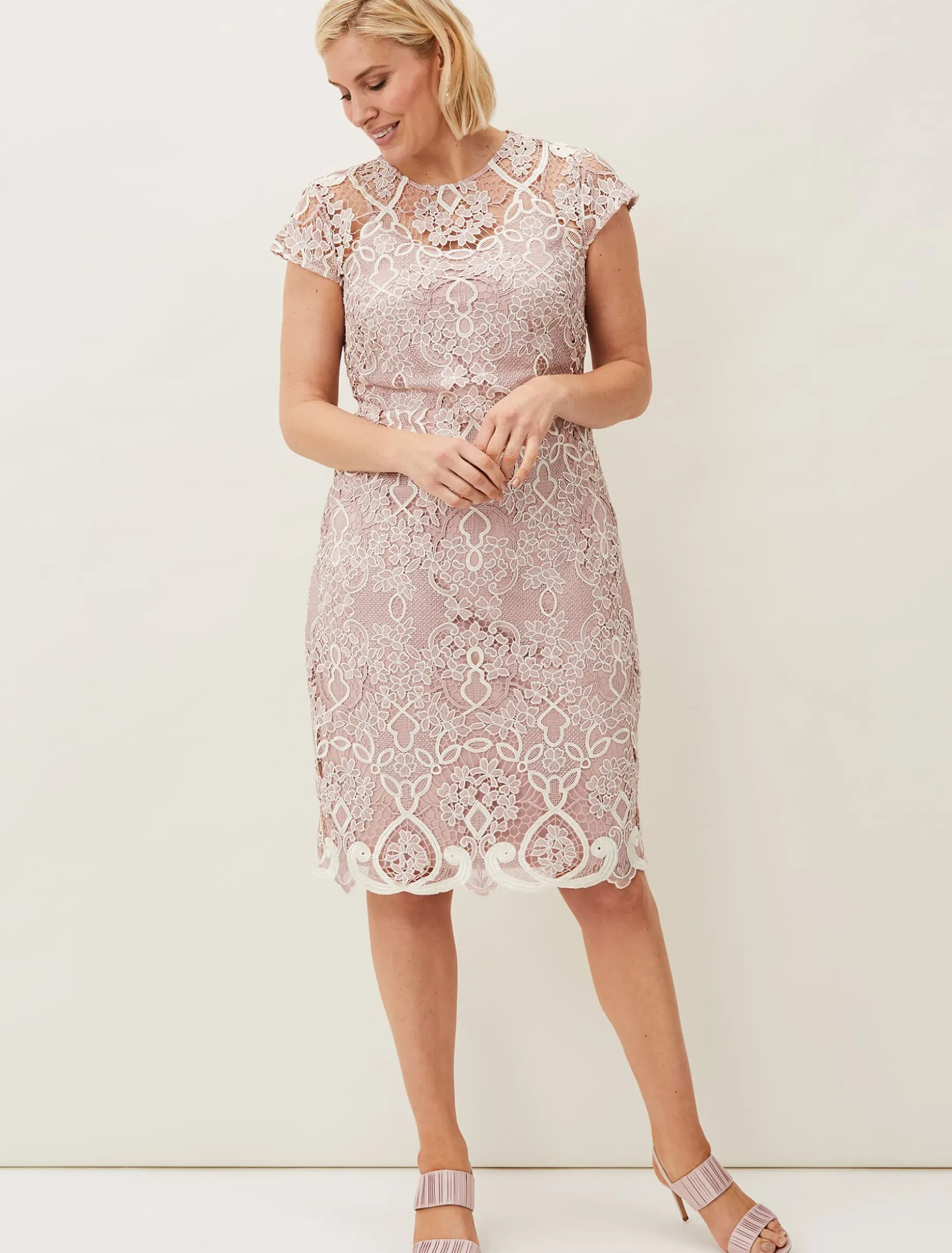 Frances Lace Fitted Dress