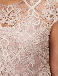Frances Lace Fitted Dress
