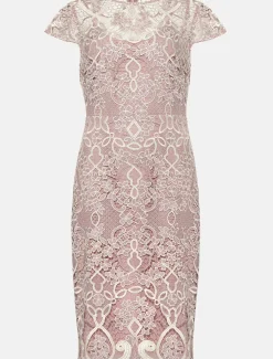 Frances Lace Fitted Dress