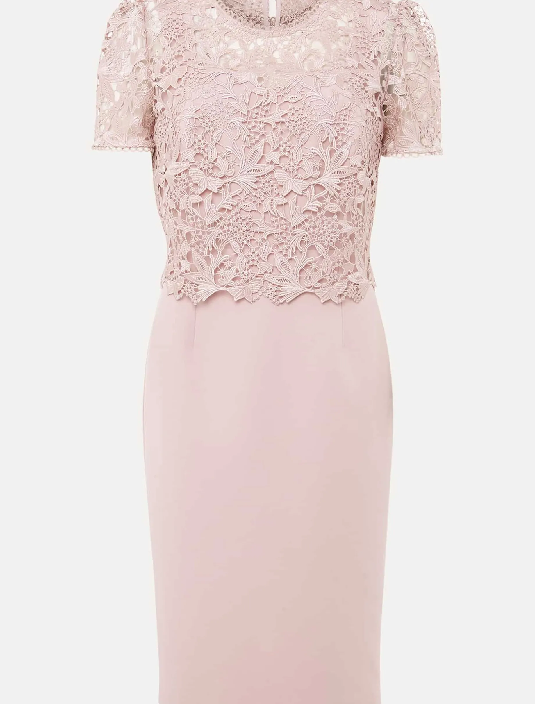 Isabella Lace Midi Dress