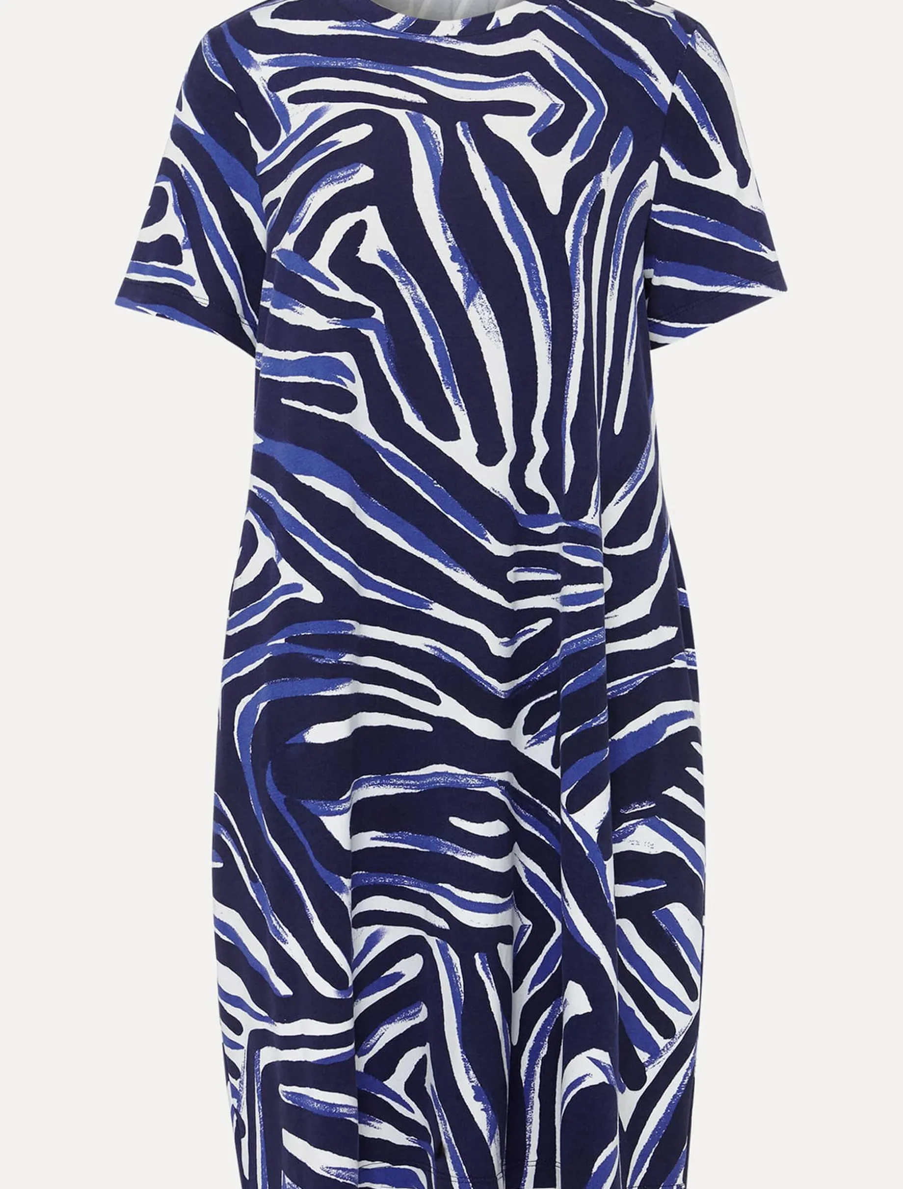 Isabelle Zebra Print Mini Dress