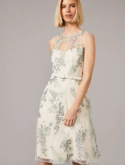 Lia Embroidered Fit And Flare Dress