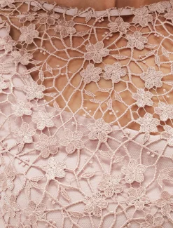 Mariposa Floral Lace Bodice Dress