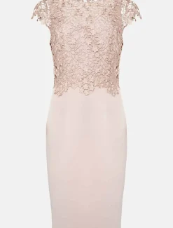 Mariposa Floral Lace Bodice Dress