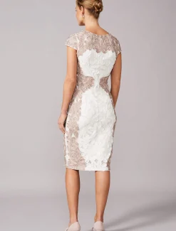 Nori Tapework Lace Fitted Dress