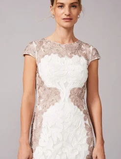 Nori Tapework Lace Fitted Dress