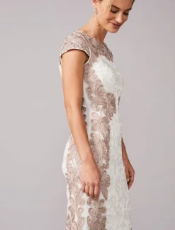 Nori Tapework Lace Fitted Dress