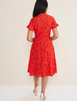 Petite Lulu Lace Midi Dress